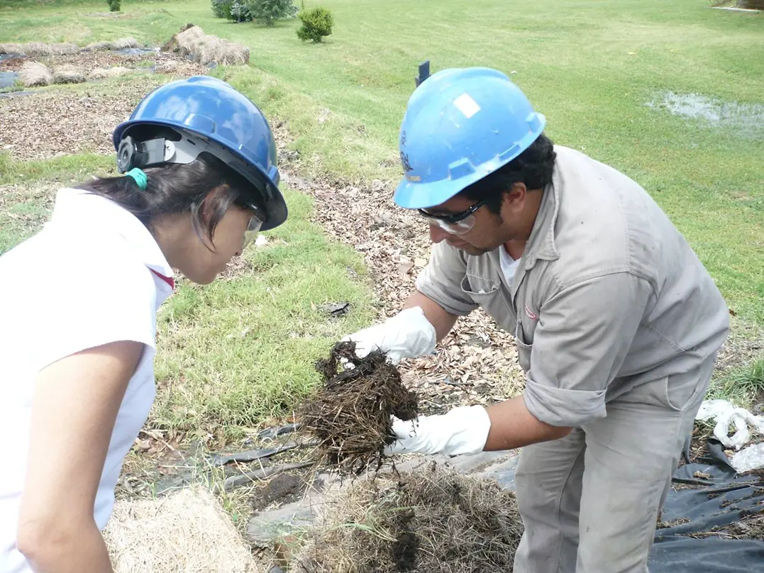 planta-de-chivilcoy-argentina.png